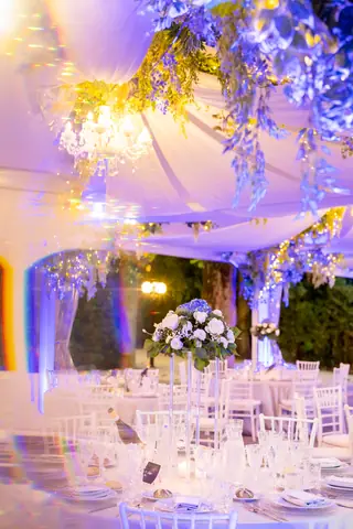 La sala del ricevimento sotto il pergolato illuminato di viola
